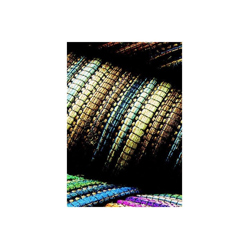 Teppiche Missoni Home  Carioca beige... Teppiche Missoni Home  Carioca beige...