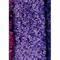 Tapis Missoni Home  Wengen...